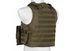 Плитоноска GFC Tactical Fsbe Tactical Vest Olive 24720 фото 6