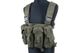 Розвантажувальний жилет GFC Chest Rig Olive 23854 фото 1