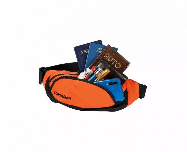 Сумка поясна Chameleon Hip Bag Orange 25484 фото