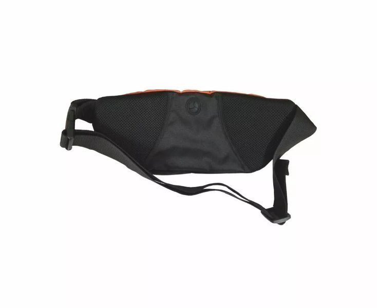Сумка поясна Chameleon Hip Bag Orange 25484 фото