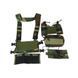 Розвантажувальний жилет TMC Modular Lightweight Chest Rig Full Set Woodland 23672 фото 6