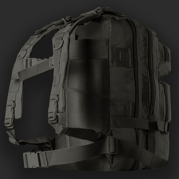 Рюкзак Тактический Camo-Tec Штурм 25 л. Black (1029) 17760 фото