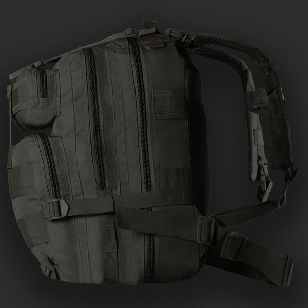 Рюкзак Тактический Camo-Tec Штурм 25 л. Black (1029) 17760 фото