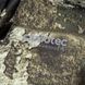 Термобелье Camo-Tec Long Sleeve Chiton Hood Coolpass Sj Norman Size L 28765-l фото 6