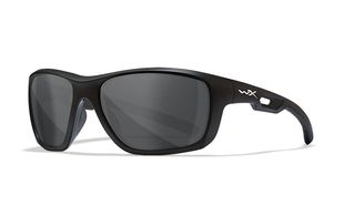 Окуляри балістичні Wiley X Aspect Grey Matte Black Frame 29526 фото