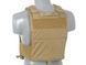 Разгрузочный жилет Emerson 419 Plate Carrier Coyote Brown 24609 фото 4