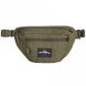 Сумка поясна Pentagon Minor Travel Pouch Olive 25650 фото 1